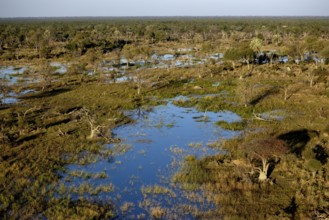 Marsh landscape, aerial view, Gomoti Plains, Okavango Delta, Botswana, Africa