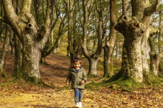 A young boy is walking through a forest with trees that have been cut down. The boy is wearing a