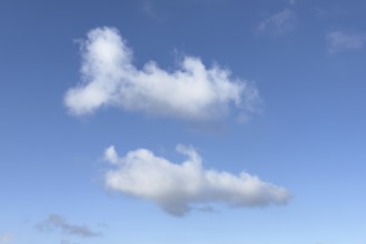 White clouds Cumulus in the formation phase under blue sky, international