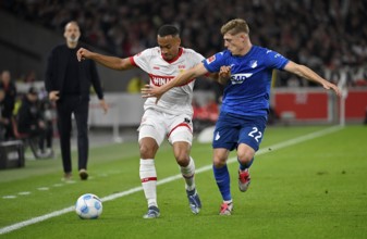 Duel, action Alexander Prass TSG 1899 Hoffenheim (22) against Jamie Leweling VfB Stuttgart (18)