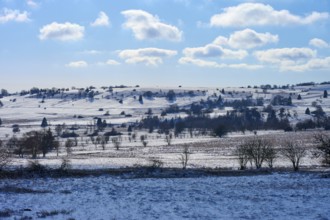 Snow-covered hills and pastures with trees under a blue sky with white clouds, winter, Oberelsbach,