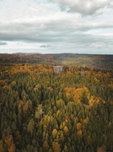 Aerial view of the observation tower treetop walk in the autumn forest, Bad Wildbad, Black Forest,