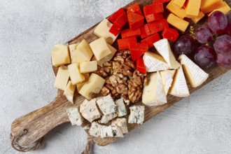 Assorted cheese on a wooden board, with grapes and walnuts, appetizer, no people