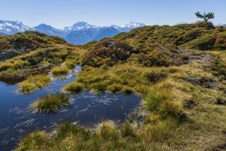 Hiking on the Moranenweg, Riederalp, tourism, hiking, hike, blue sky, Aletsch Arena, Valais,
