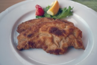 Wiener-style schnitzel served on a plate, Bavaria, Germany, Europe