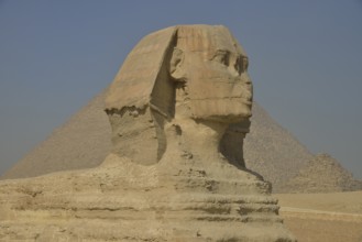 Sphinx or Great Sphinx of Giza, lion with a human head, built in the 4th Egyptian dynasty around