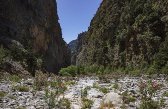 Hiking trail through the Samaria Gorge, south coast, Crete, Greece, Europe