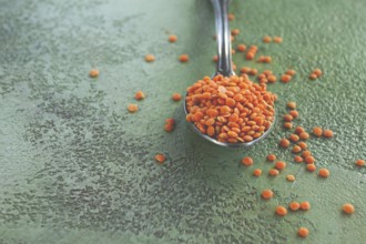 A spoon holds vibrant red lentils, with more lentils scattered around on a textured green surface.