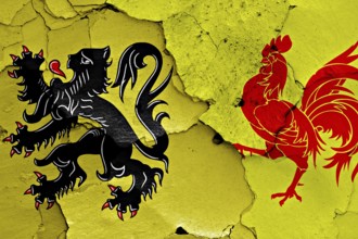 Flags of Flanders and Wallonia painted on cracked wall