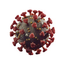 Coronavirus, COVID-19, SARS-CoV-2 Corona virus particle 3D illustration in color isolated on white