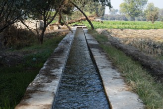 Water canal for crop field irrigation system in the village
