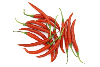 Red chillies from Andhra Pradesh India