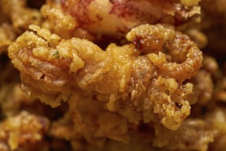 Puntilla Tapas fried little breaded skid of spain