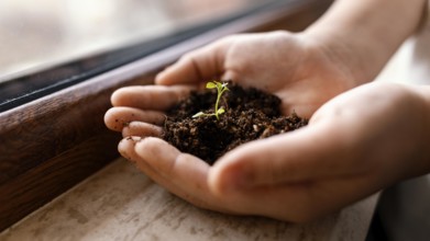 Little child holding dirt sprout his hands