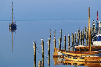 Single boat and seagulls on piles reflected in the calm blue water, Salzhaff with lagoon jetty,