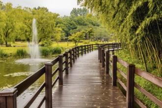 Wooden elevated walkway over man made pond with fountain shooting water next to bamboo grove in