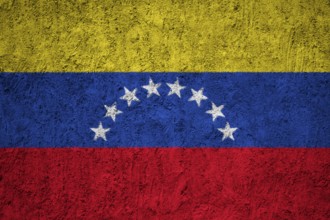 Venezuela Flag painted on the cracked grunge concrete wall