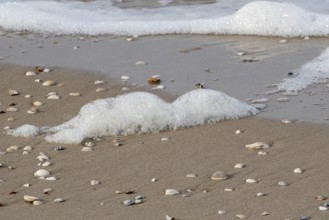White glittering foam in the surf on the beach