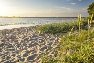 Sunset on a quiet beach in Glücksburg on the Flensburg Fjord in northern Germany