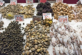 Fresh seafood at a market in Madrid, Spain, Europe