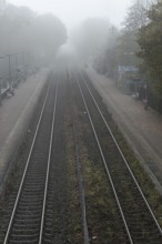 Deserted railroad tracks vanishing into thick fog on a misty autumnal morning, creating a