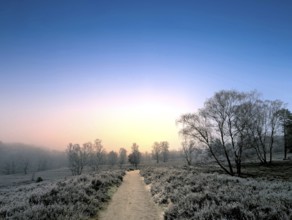 Hiking in winter with frost in the Fischbeker Heide in Hamburg