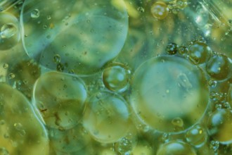 Abstract oil in water using natural light in blue and green tones. Good for wallpaper or background