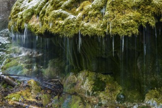 Waterfall in the Wutach Gorge, Dietfurt Schleierfall, in winter with icicles, Black Forest,