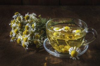Herbal tea cup and daisy medicinal herbs bunches on wooden board