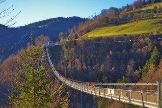 A suspension bridge leads over a wooded landscape with a meadow slope in the background, Black