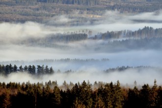 View of the forest from a hiking trail in the Hunsrück-Hochwald National Park in sunshine and fog