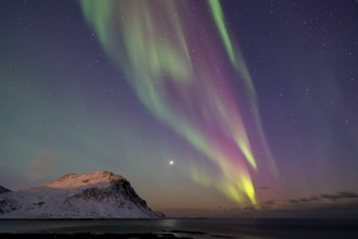 Northern Lights (Aurora borealis), Aurora Borealis, Lofoten, Norway, Europe