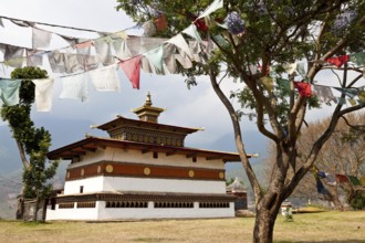 Chimi lhakhang temple, punakha, bhutan