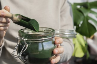 Female hands holding Organic blue-green algae spirulina detox powder in glass jar. Health protein