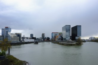 Building in the Media Harbour with Hyatt Hotel, Düsseldorf, Germany, Europe