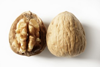 Walnut and shell isolated macro over white background