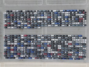 New Cars on Large Parking Lot in Port Ready for Distribution. Harbor Vehicle Storage for Shipping.
