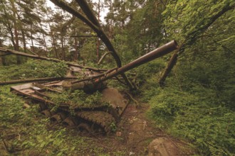 A dilapidated tank, overgrown with branches and lying in the middle of a forest, surrounded by wild