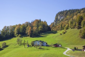 Alpine pasture with houses and forest near Maria Gern in autumn, Berchtesgarden Alps,