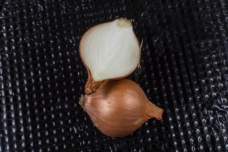 Onion bulb cut in half on a background