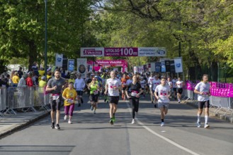 A picture of the runners at the 2023 edition of the Telekom Vivicitta Spring Half Marathon in
