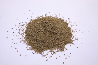 Carom Seeds, Bishop's Weed, Thymol Seeds, Ajwain, Isolated, White Background