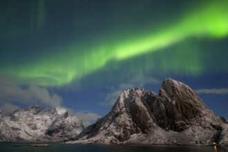 Northern Lights (Aurora borealis), Aurora Borealis, Norway, Lofoten, Europe