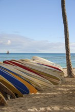 Vertical shot of several surfboards displayed on a rack at a beach in Hawaii