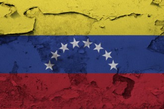 Venezuela Flag painted on the cracked grunge concrete wall