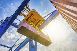 Crane and container in Duisburg harbour, Terminal D3T, Logport l, Rhine, Duisburg, North