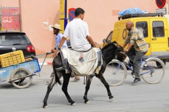 Rissani, Middle Atlas, Rissani, Morocco, A man rides a donkey on a road next to other road users,