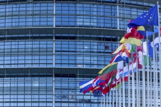 EU flags on poles in front of the Glass Fasadz building and the entrance to the European