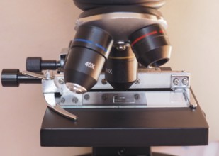Light microscope detail