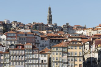 Roofs, historic house facades and the Torre dos Clérigos church tower in the historic centre of